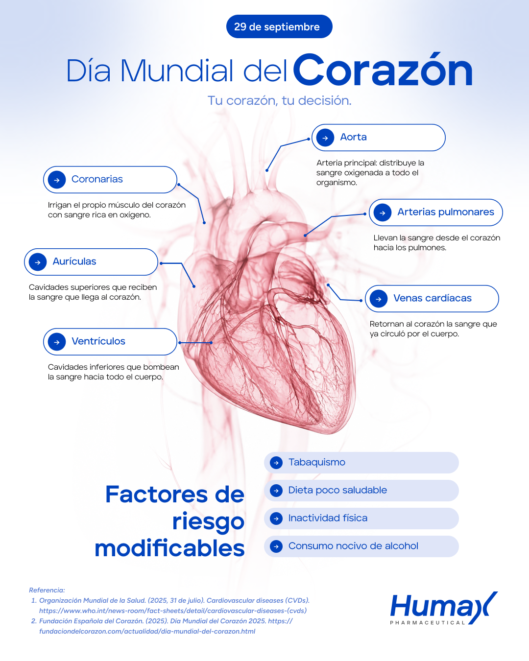 D&iacute;a del coraz&oacute;n